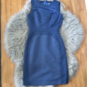 Antonio Melani Blue Dress